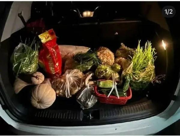 “后备箱大赛”，又双叒叕开赛了！广东交警提醒→