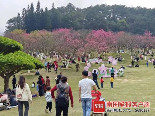 节后广西天气一夜换季?最高温33℃ 最低温零下8℃ 节后广西天气一夜换季?最高温33℃ 最低温零下8℃