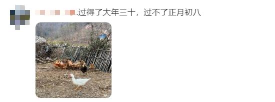 今天24时结束！返程重要提醒