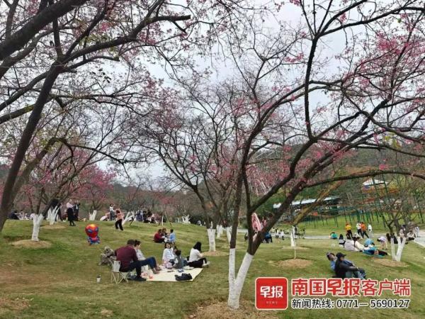 节后广西天气一夜换季?最高温33℃ 最低温零下8℃ 节后广西天气一夜换季?最高温33℃ 最低温零下8℃