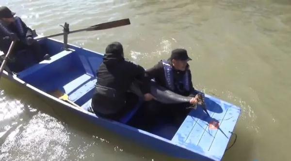 全国首例，这头江豚获救了！