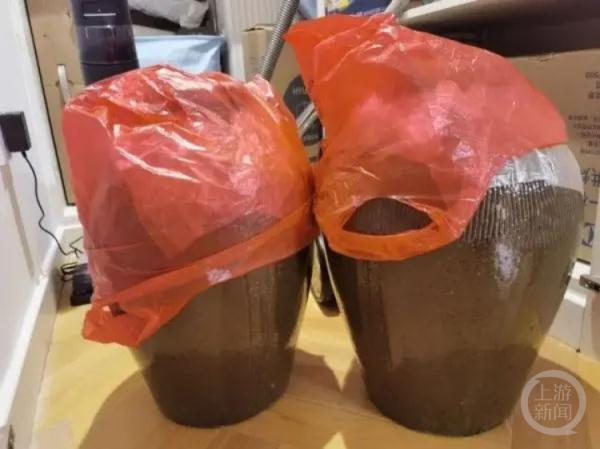 网友晒返程后备箱:整羊两只,够吃一年的大米…… 网友晒返程后备箱:整羊两只,够吃一年的大米……