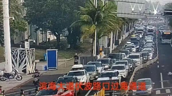 海南出岛之伤：天上飞的超贵，海上游的爆满