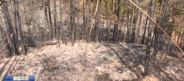 孩子一个举动，家长被罚近30万！这件事千万不能做