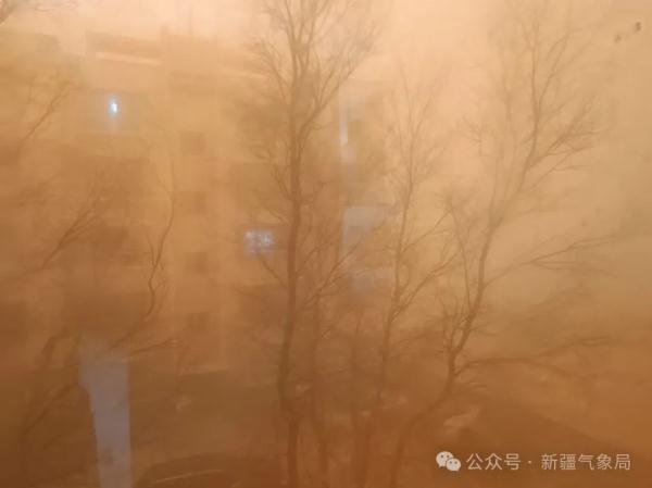 预警刷屏！多地遭遇强沙尘暴，画面曝光