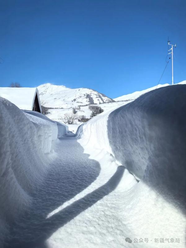零下52.3℃！新疆最低温破历史极值！