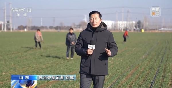 雨水将至农事忙！我国春耕春管由南向北陆续展开