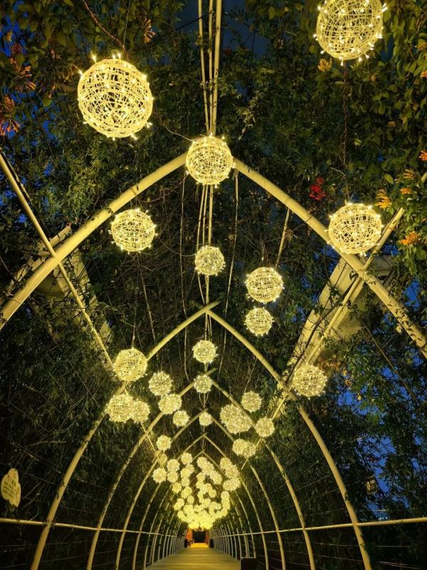 超1555万人次,超112亿元!广州这个春节,“热辣滚烫” 超1555万人次,超112亿元!广州这个春节,“热辣滚烫”