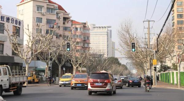 【探索】冬修正当时,上海的悬铃木都有哪些“造型”?一起来看看吧→ 【探索】冬修正当时,上海的悬铃木都有哪些“造型”?一起来看看吧→