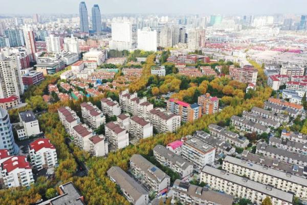 【探索】冬修正当时,上海的悬铃木都有哪些“造型”?一起来看看吧→ 【探索】冬修正当时,上海的悬铃木都有哪些“造型”?一起来看看吧→