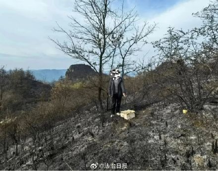 男子祭祖时违规用火致山林失火被刑拘 一切野外用火都将依法受到处理