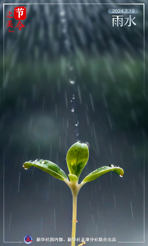 节令之美|雨水洗春容,花色影重重 节令之美|雨水洗春容,花色影重重