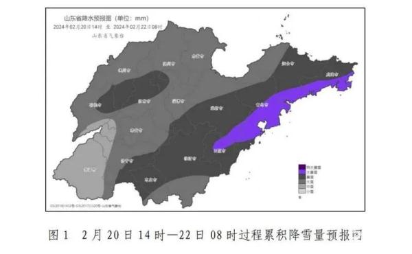 预报图“黑了”！青岛有暴雪局部大暴雪