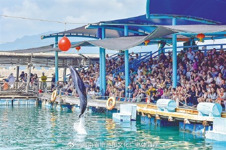 951.45万人次,151.27亿元!2024年春节假期海南旅游“成绩单”出炉 951.45万人次,151.27亿元!2024年春节假期海南旅游“成绩单”出炉