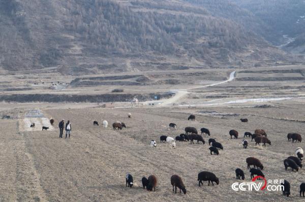 老人和村庄,女孩回到大山之后 老人和村庄,女孩回到大山之后