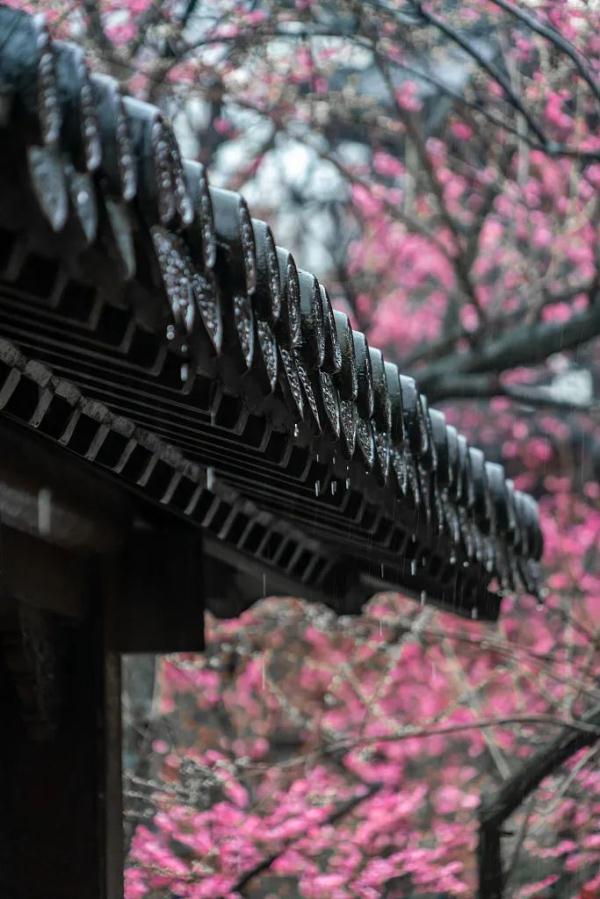 合肥又要下雪了!今天12时13分,正式进入…… 合肥又要下雪了!今天12时13分,正式进入……