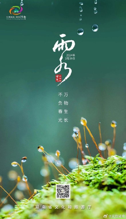 今日雨水｜春雨至 万物生 莫负好时光