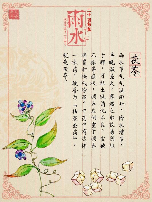 雨水 | 春雨淅淅沥沥，去寒湿之邪，用它绝绝子！