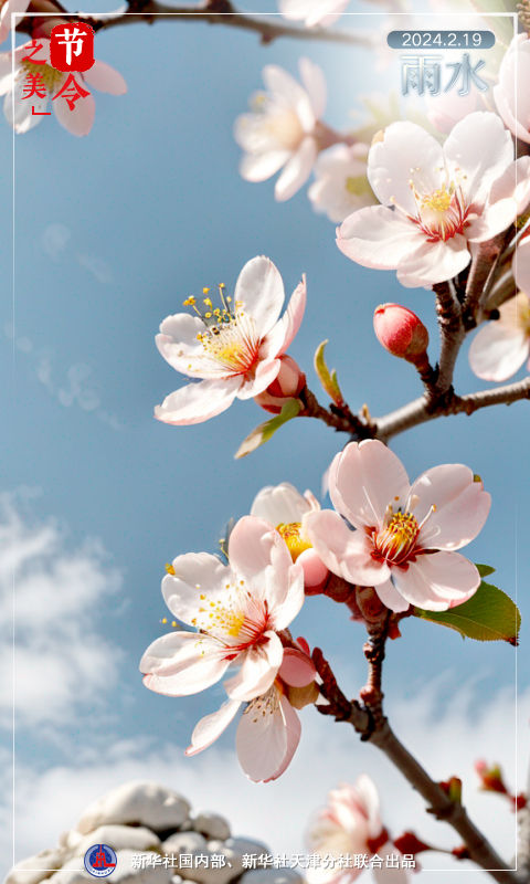 节令之美|雨水洗春容,花色影重重 节令之美|雨水洗春容,花色影重重