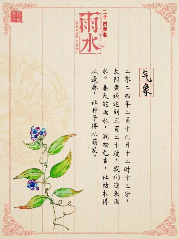 雨水 | 春雨淅淅沥沥，去寒湿之邪，用它绝绝子！