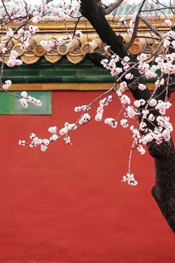 合肥又要下雪了!今天12时13分,正式进入…… 合肥又要下雪了!今天12时13分,正式进入……