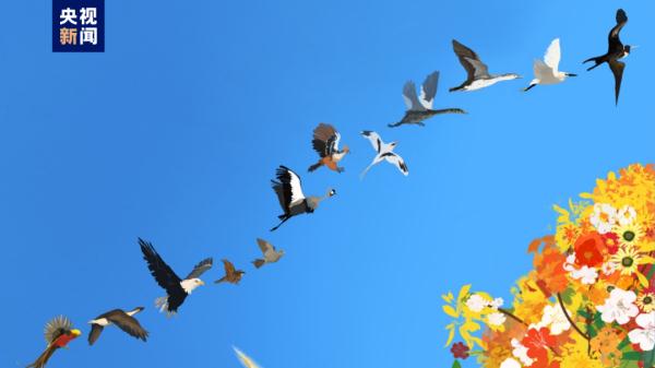 颠覆性发现!中国科学家主导 颠覆性发现!中国科学家主导