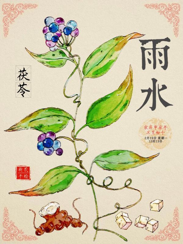 雨水 | 春雨淅淅沥沥，去寒湿之邪，用它绝绝子！