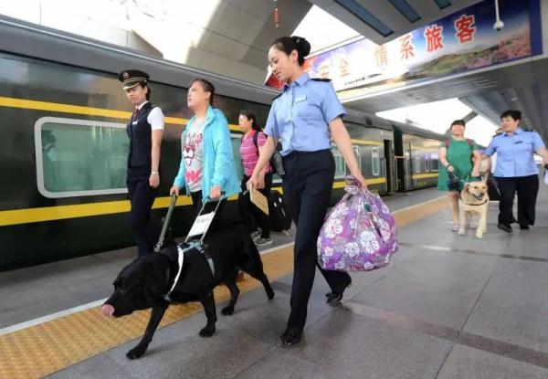 导盲犬珍妮,一路走好! 导盲犬珍妮,一路走好!