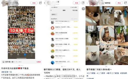 宠托师春节上门喂养9天收入过万