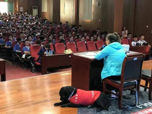 导盲犬珍妮,一路走好! 导盲犬珍妮,一路走好!