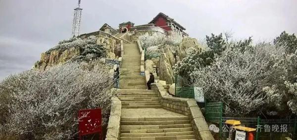 紧急提醒:暂停开放!山东三预警齐发 紧急提醒:暂停开放!山东三预警齐发