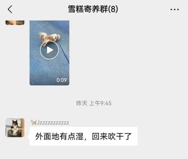 宠物寄养VS上门喂养,长假期间,你的宠物“留守”了么? 宠物寄养VS上门喂养,长假期间,你的宠物“留守”了么?