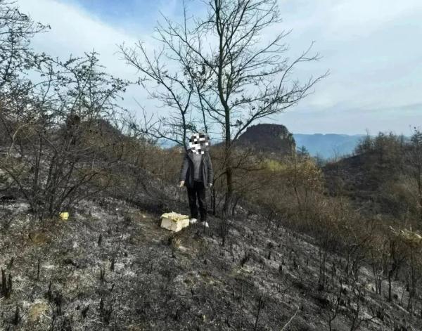 故意放火烧山!朱某贵已被刑拘 故意放火烧山!朱某贵已被刑拘