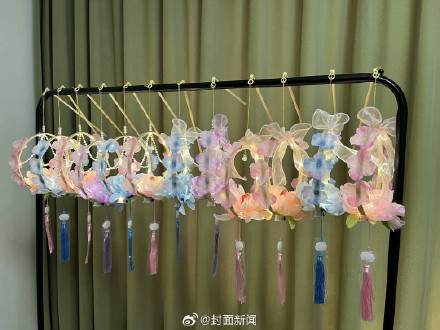 宠托师春节上门喂养9天收入过万