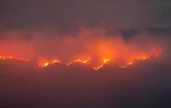 故意放火烧山!朱某贵已被刑拘 故意放火烧山!朱某贵已被刑拘