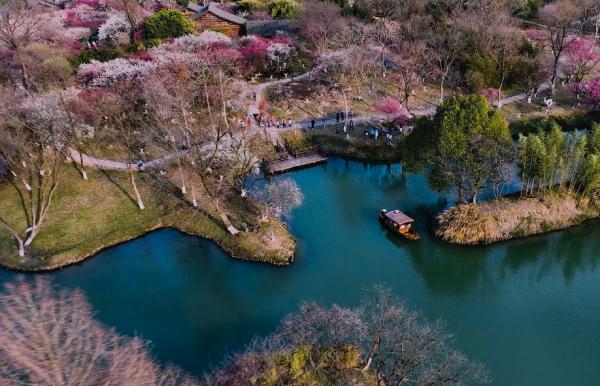震撼！杭州一地上空同时惊现十几架“飞机”，原来.....