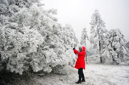 重庆龙年第一场雾凇美景要来了 重庆龙年第一场雾凇美景要来了