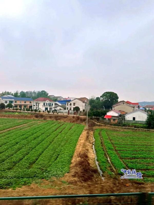 乘务员绘制列车美景时刻表，请查收！