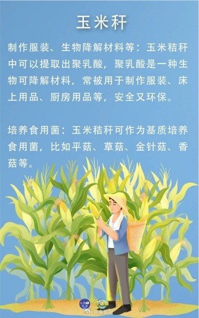 血糖高应该吃甜玉米