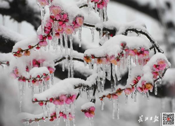 不是倒春寒！“暴躁”寒潮受关注，医生提醒