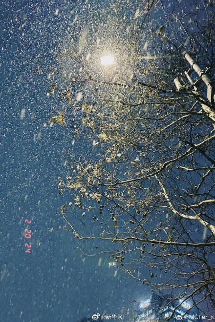 北京龙年首场降雪太美了