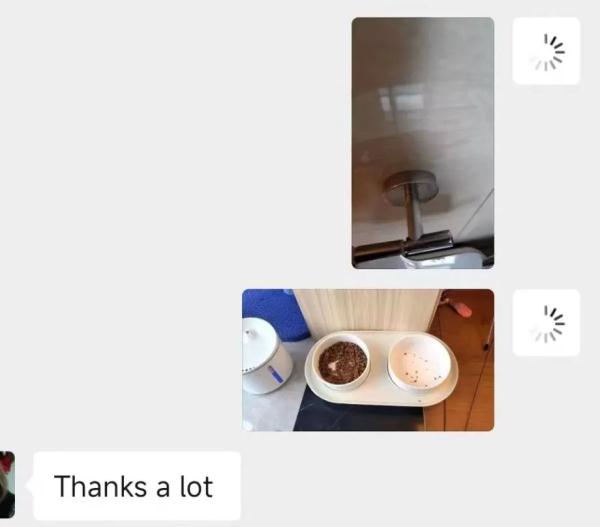 宠物寄养VS上门喂养,长假期间,你的宠物“留守”了么? 宠物寄养VS上门喂养,长假期间,你的宠物“留守”了么?