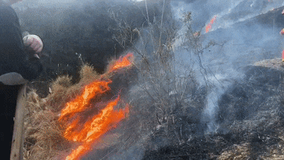 故意放火烧山!朱某贵已被刑拘 故意放火烧山!朱某贵已被刑拘