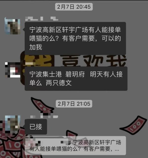宠物寄养VS上门喂养,长假期间,你的宠物“留守”了么? 宠物寄养VS上门喂养,长假期间,你的宠物“留守”了么?