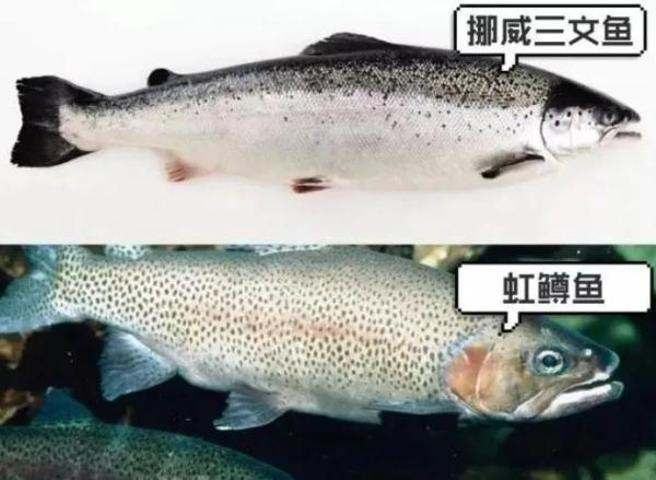 默默改了说明，好多人不敢买了！回应来了...