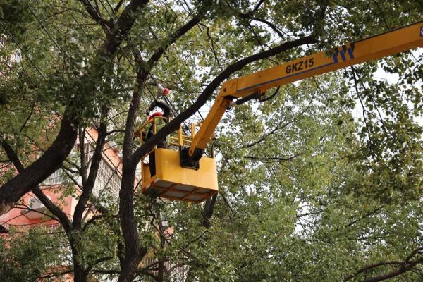 不是倒春寒！“暴躁”寒潮受关注，医生提醒