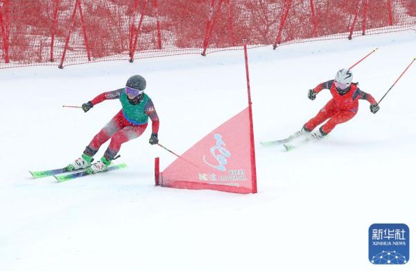 全冬会｜自由式滑雪公开组女子障碍追逐赛况