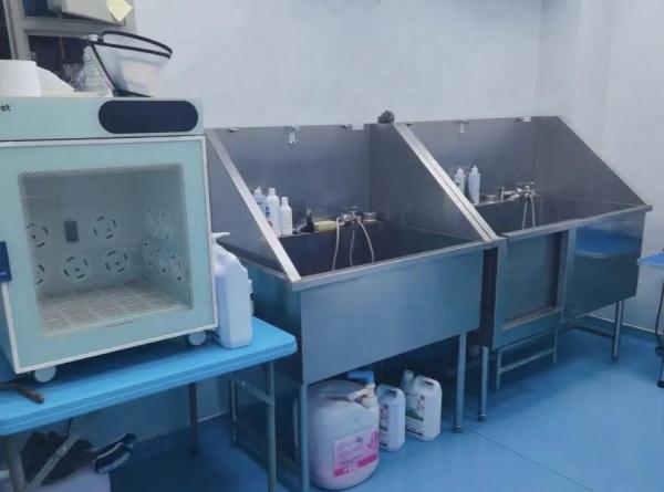 宠物寄养VS上门喂养,长假期间,你的宠物“留守”了么? 宠物寄养VS上门喂养,长假期间,你的宠物“留守”了么?