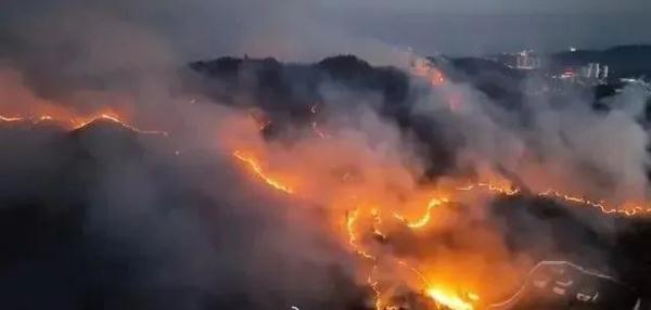 故意放火烧山!朱某贵已被刑拘 故意放火烧山!朱某贵已被刑拘
