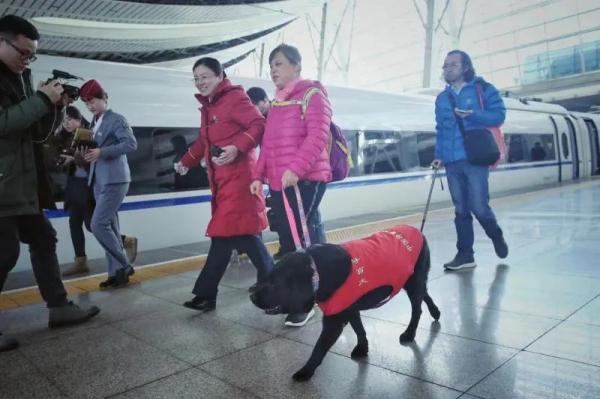 导盲犬珍妮,一路走好! 导盲犬珍妮,一路走好!